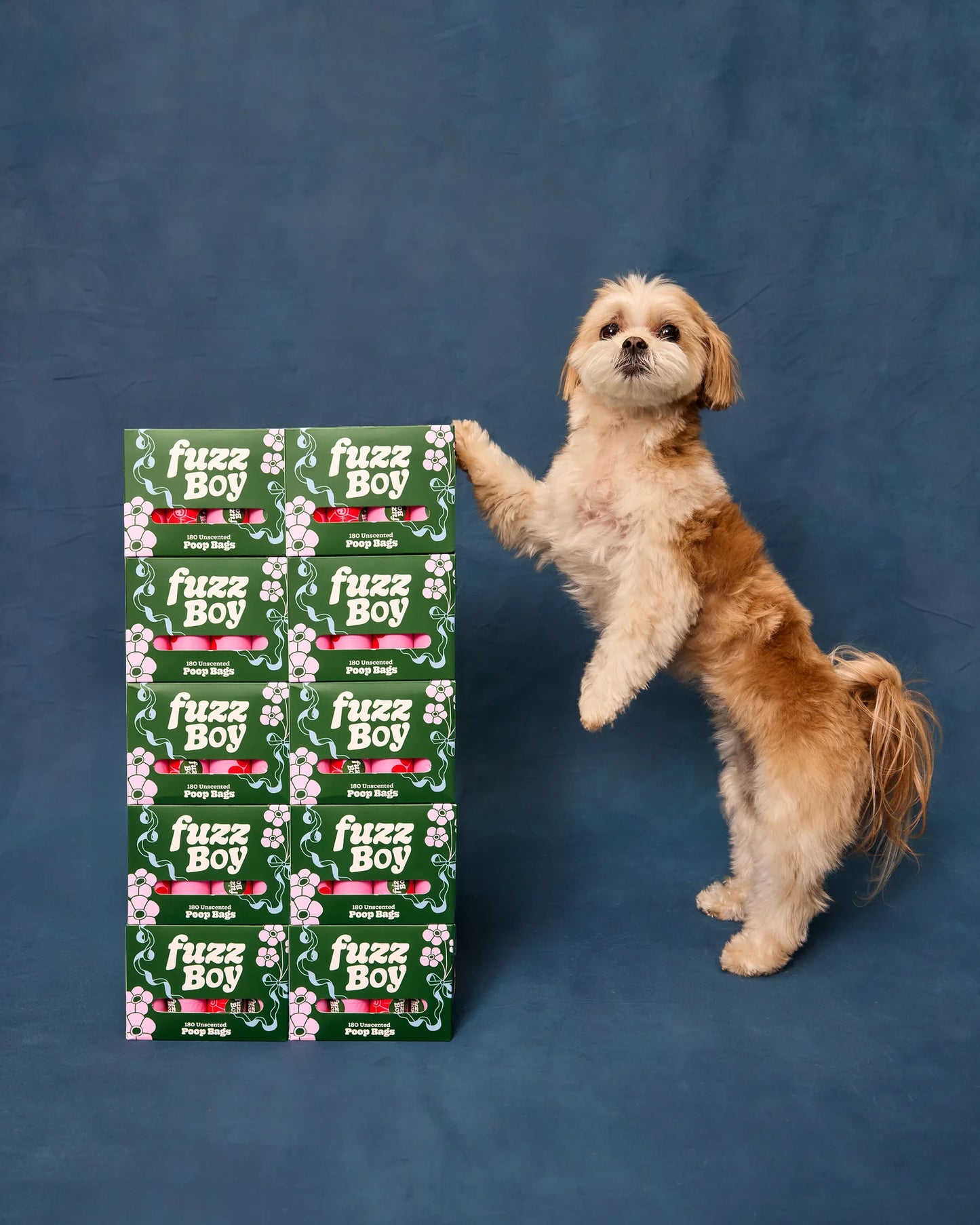 Dog standing next to a box of Fuzz Boy products on a blue background