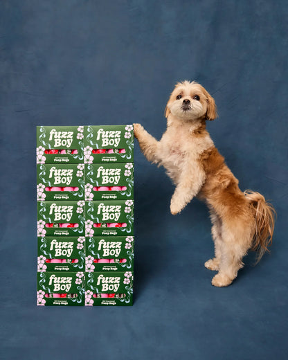 Dog standing next to a box of Fuzz Boy products on a blue background