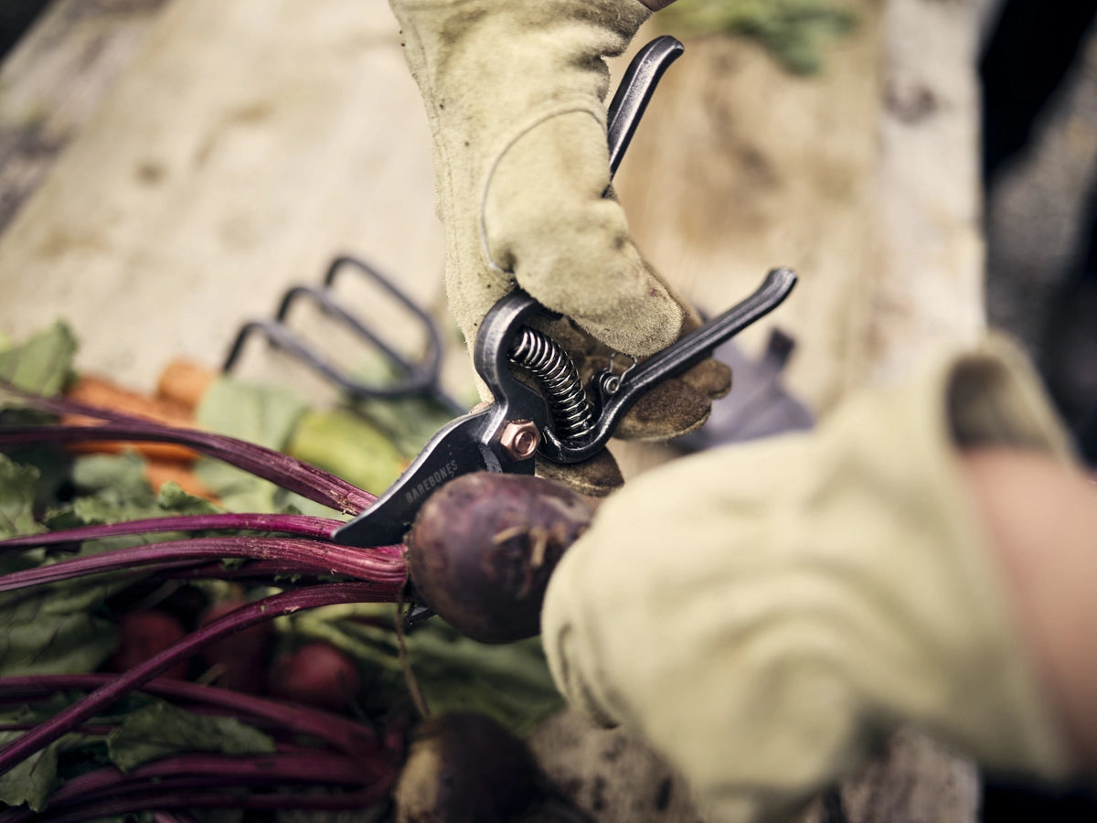 Garden Pruner