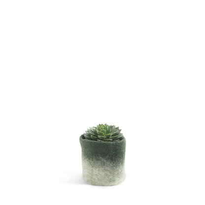 Aveva Flower Pot