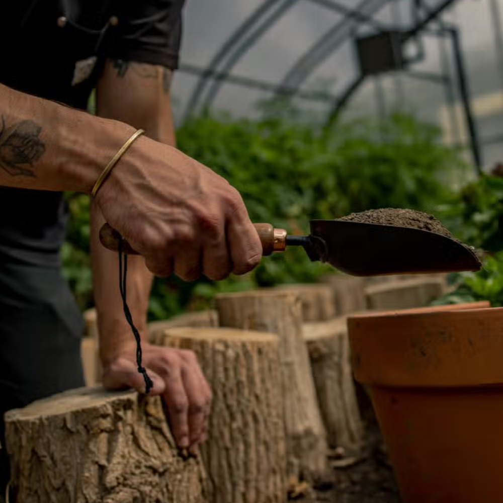 Garden Scoop 4