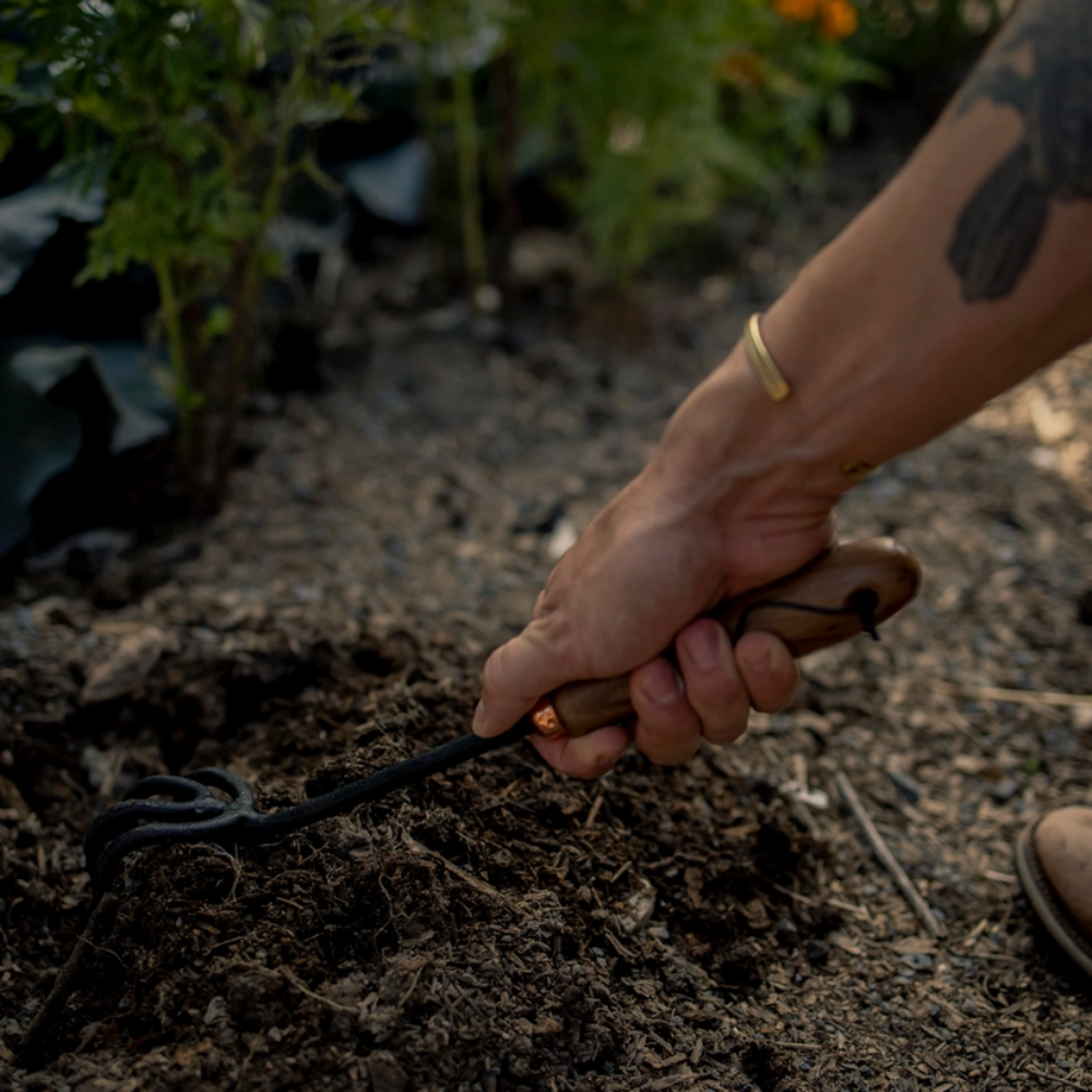 Cultivator