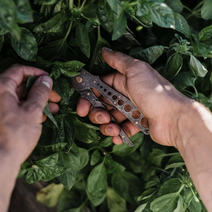 Herb Harvest + Spripper Tool