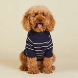 Foggy Dog Sweater 1