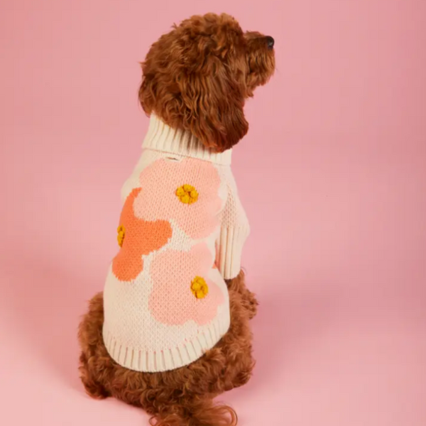 Foggy Dog Sweater