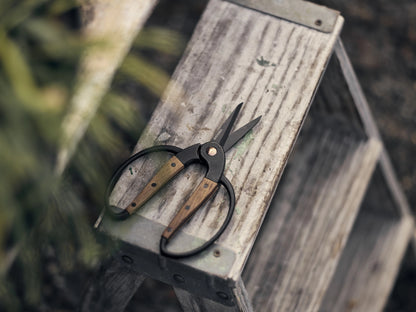 A pair of pruning shears with black metal blades and light brown wooden handles resting on a weathered gray wooden step stool.