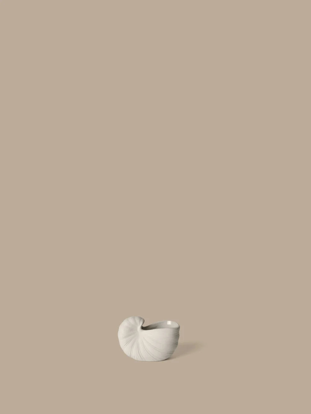 Small Shell Pot Vase on Beige background