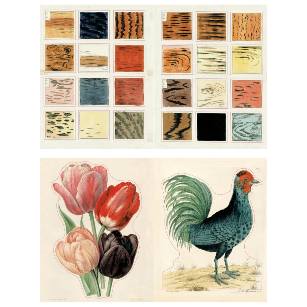 A vintage-style printed sheet or collage showing multiple small wood-grain and material swatches arranged in a grid, plus two larger illustrated sections below with tulips and a rooster.