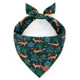 Foggy Dog Bandana 1