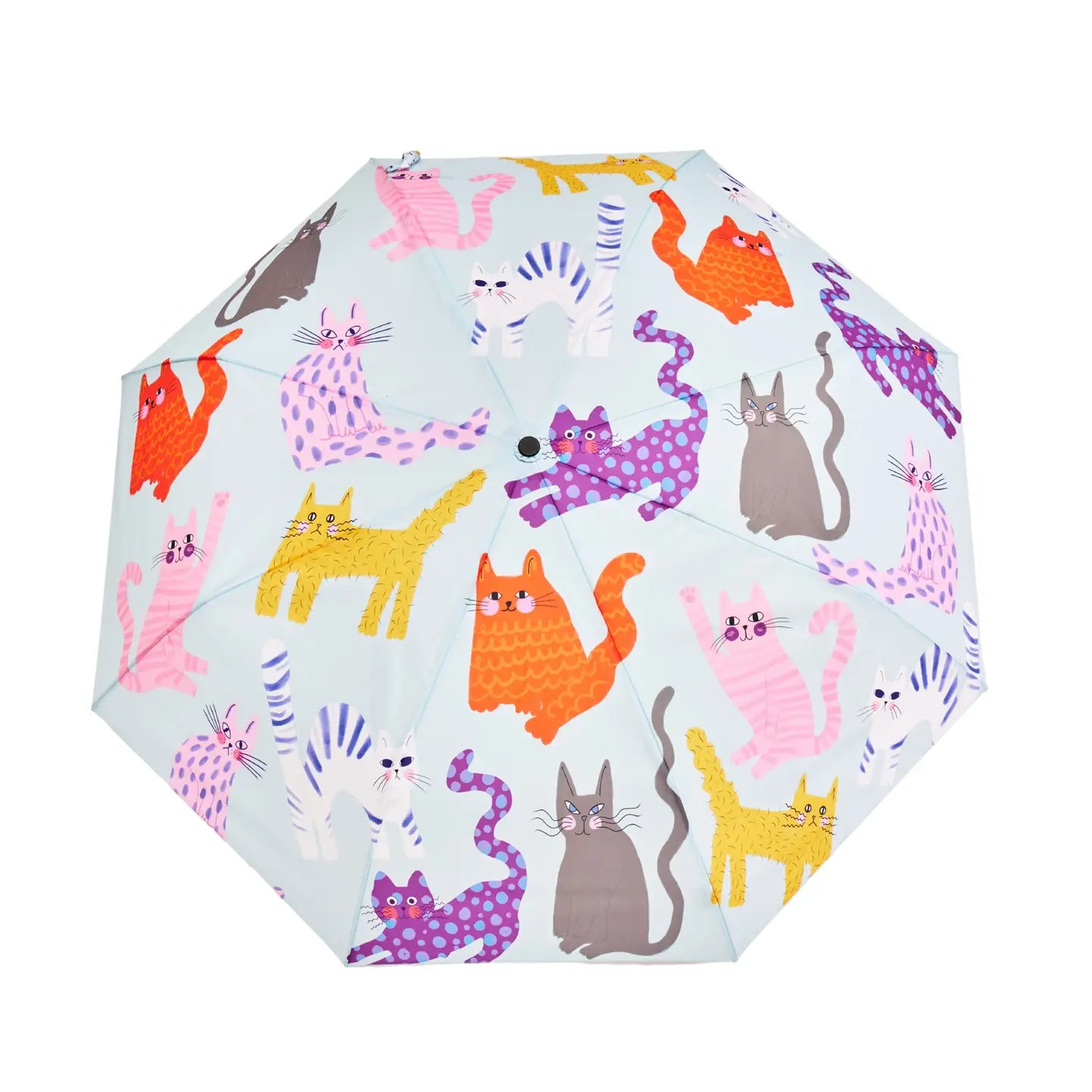 Duckhead Umbrellas