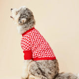 Foggy Dog Sweater