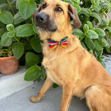 Handwoven Pet Bow Tie