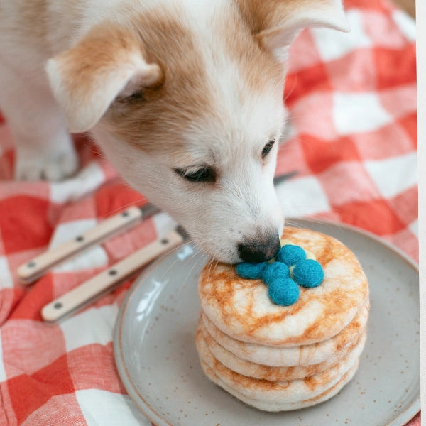 MODERNBEAST Wool Pet Toys