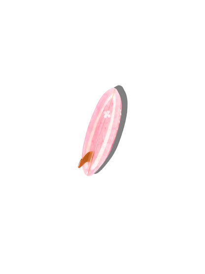 Hand Painted Claw Hairclips
