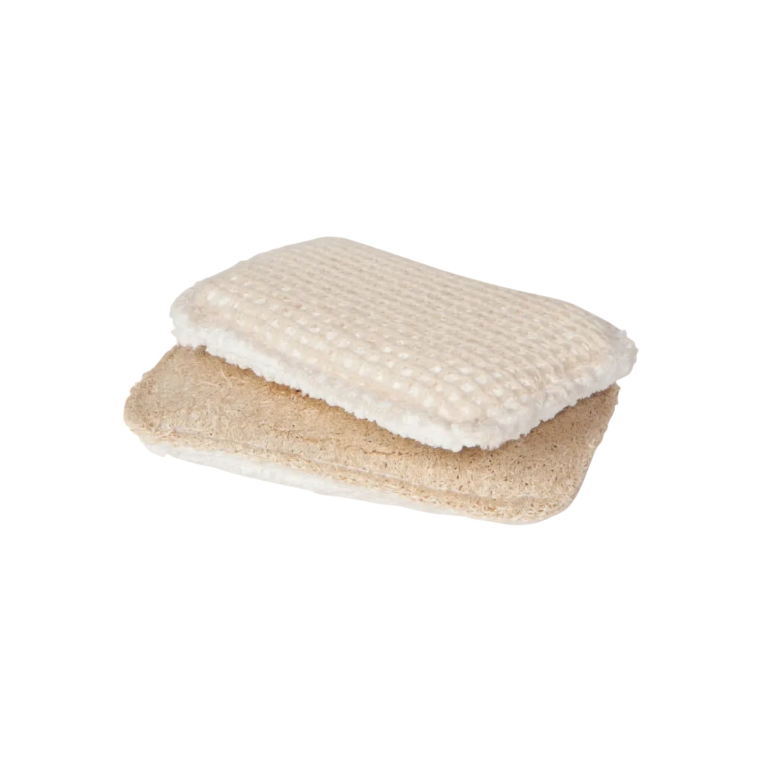 Rectangular sponge with textured surface on a white background