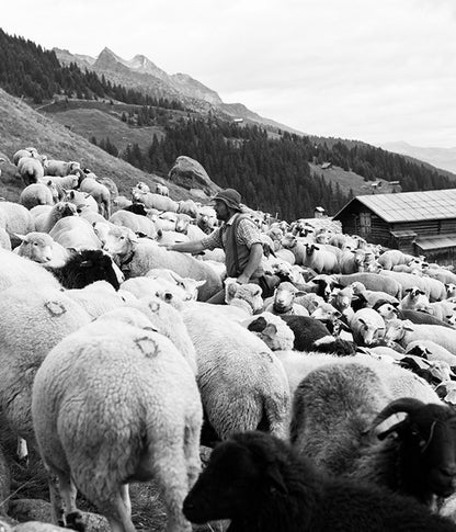 A tribute to Norwegian heritage and tradition. Crafted from 100% Norwegian wool, featuring embroidered motifs inspired by the Norwegian Bunad. Blending timeless Norwegian craftsmanship with modern functionality for both outdoor adventures and everyday elegance.