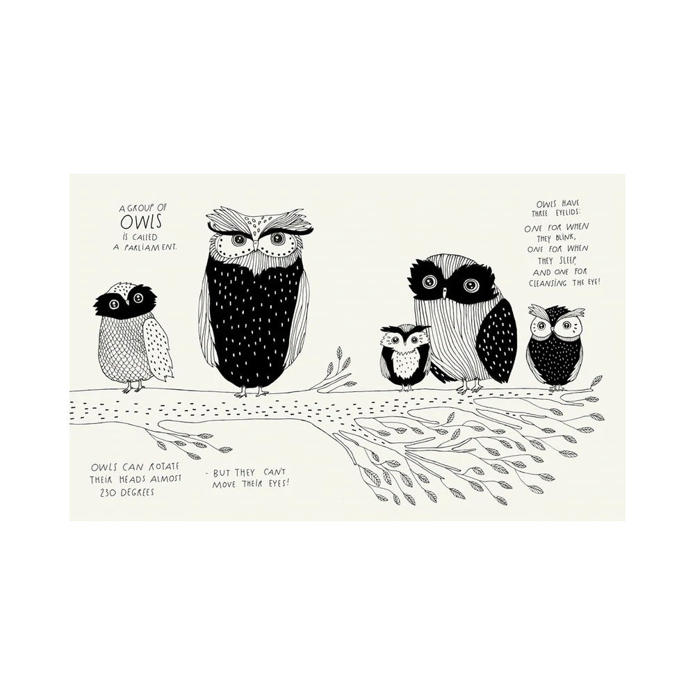 Illustrated Compendium of Amazing Animal Facts by Maja Säfström