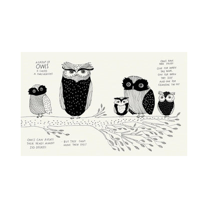 Illustrated Compendium of Amazing Animal Facts by Maja Säfström
