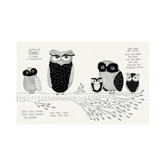 Illustrated Compendium of Amazing Animal Facts by Maja Säfström