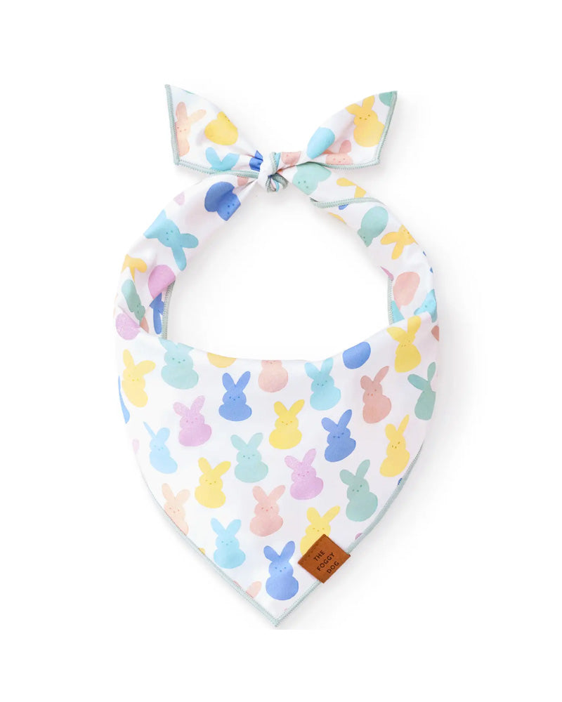 Foggy Dog Bandana