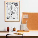Paper Collective Graphic Poster, Paper Collective, Huset | Modern Scandinavian Design
