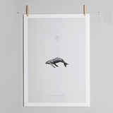 Paper Collective Graphic Poster, Paper Collective, Huset | Modern Scandinavian Design