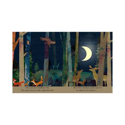 A Peek-Through Board Books by Britta Teckentrup
