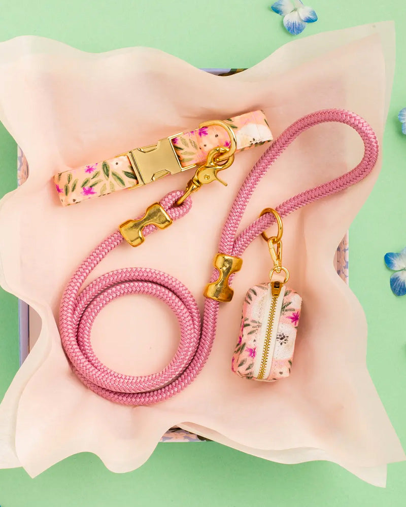 Foggy Dog Rope Leash